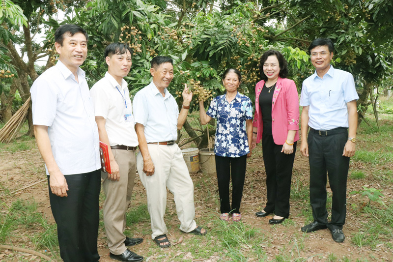 Lãnh đạo Thành ủy Hà Nội thăm hỏi, tri ân người có công - Ảnh 4