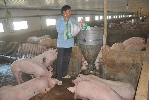 Thịt lợn tăng giá 200%, đắt nhất thế giới, Bộ Nông nghiệp ra công văn hỏa tốc - Ảnh 1