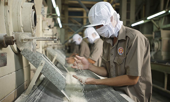 Nguy cơ mất thị trường Trung Quốc: Giải pháp nào cho gạo Việt? - Ảnh 2
