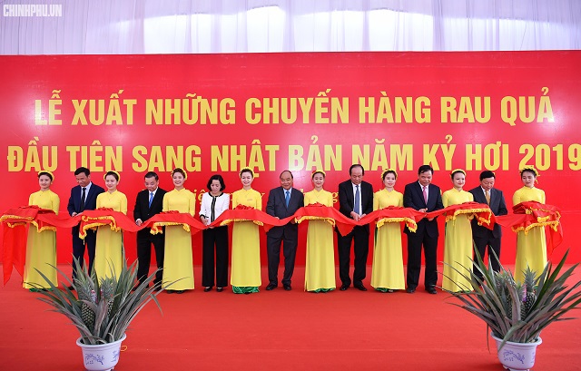 5 xu hướng công nghệ quyết định sự phát triển năng suất nông nghiệp Việt Nam - Ảnh 3