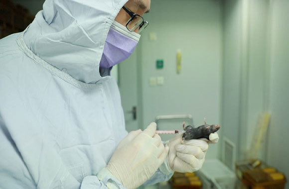 Trung Quốc bắt đầu thử nghiệm vaccine chống virus corona trên động vật - Ảnh 1