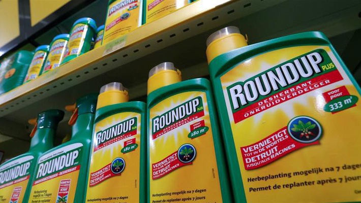 Xung quanh hoạt chất glyphosate trong thuốc diệt cỏ: Bộ NN&PTNT đã dừng đăng ký mới - Ảnh 1