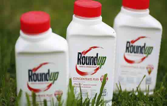 Monsanto thua kiện, phải bồi thường 289 triệu USD vì thuốc diệt cỏ gây ung thư - Ảnh 2