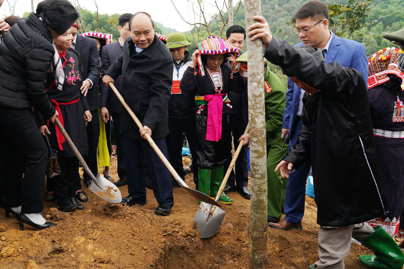 Thủ tướng phát động Tết trồng cây đời đời nhớ ơn Bác Hồ - Ảnh 5