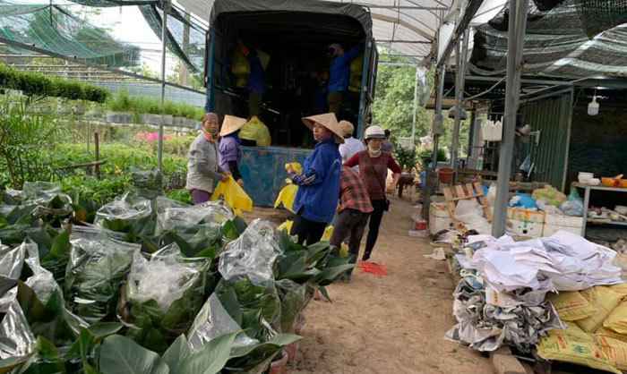 Tích Giang làm giàu nhờ hoa, cây cảnh - Ảnh 1