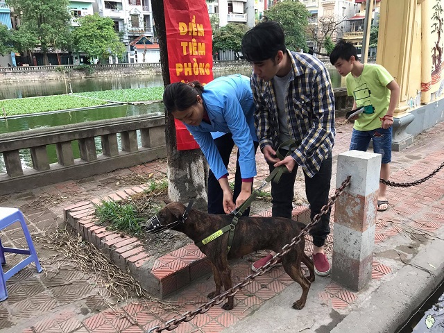 Chăn nuôi nhỏ lẻ: Hiểm họa lây bệnh sang người - Ảnh 1