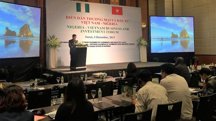 Cơ hội hợp tác thương mại Việt Nam – Nigeria - Ảnh 1