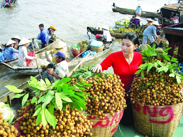 Nông sản sang Trung Quốc: Cửa vẫn rộng nếu không 'chộp giật' - Ảnh 1