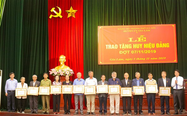 Huyện Gia Lâm trao tặng Huy hiệu Đảng cho 141 đảng viên - Ảnh 2