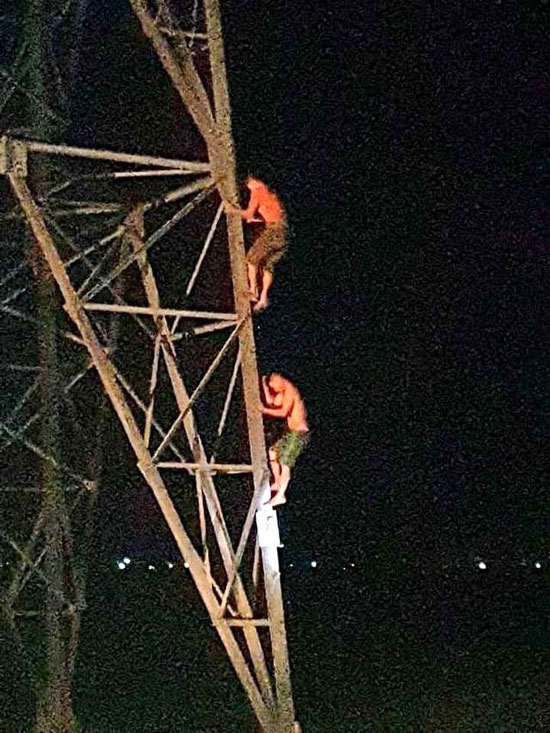 Nghệ An: Giải cứu thành công 2 anh em mắc kẹt trên cột điện cao thế nhiều giờ trong đêm - Ảnh 1