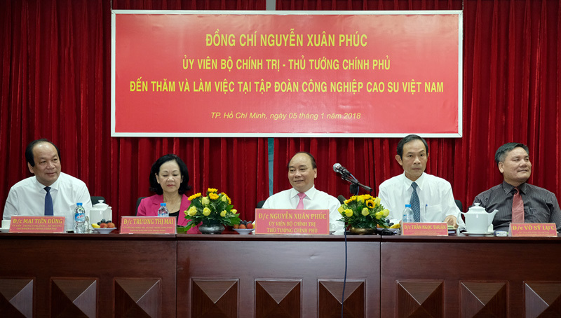 Thủ tướng làm việc với Tập đoàn Công nghiệp Cao su Việt Nam - Ảnh 1