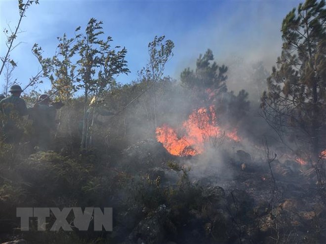 Lâm Đồng: Cháy lớn khiến tuyến đường đèo Prenn tạm bị phong tỏa - Ảnh 1