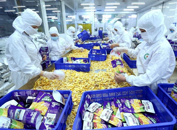 Việt Nam có nhiều mặt hàng lợi thế xuất khẩu sang Romania - Ảnh 1