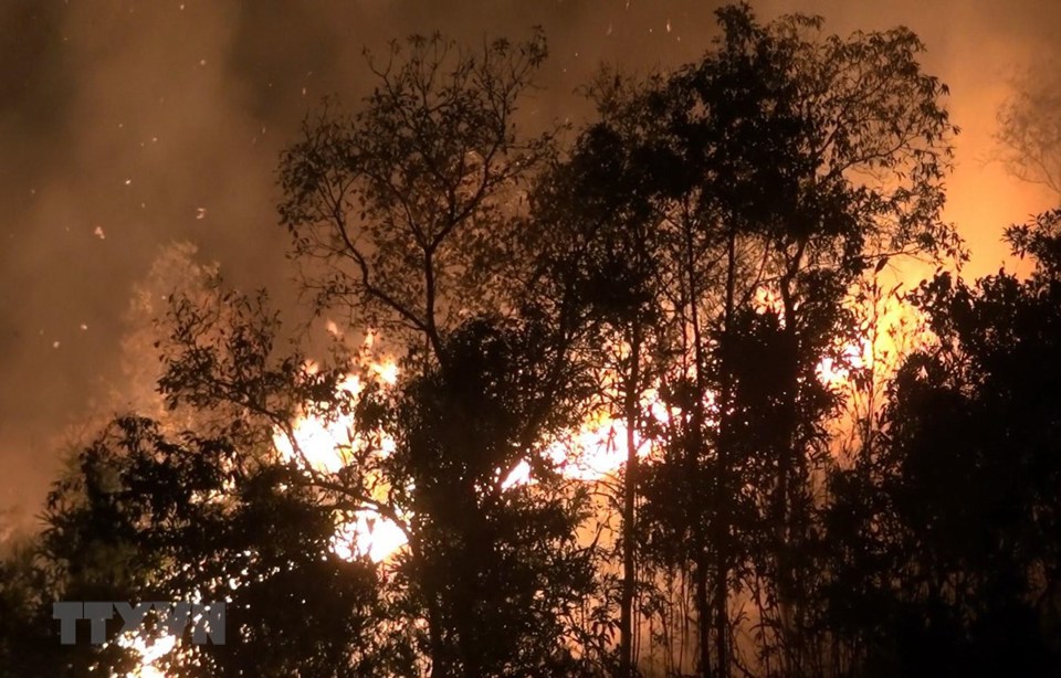 Cháy rừng dữ dội trong nhiều giờ ở Điện Biên - Ảnh 1