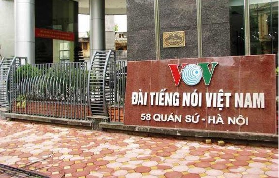 Chính phủ công bố cơ cấu tổ chức mới của VTV, VOV - Ảnh 2