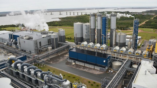 Tập đoàn Phần Lan đầu tư xây nhà máy bột giấy thứ hai tại Uruguay - Ảnh 1