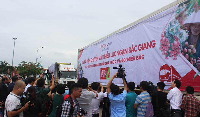 Vải thiều Bắc Giang vào hệ thống phân phối của Central Group Việt Nam - Ảnh 3