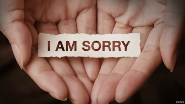 Nhẹ nhàng lời xin lỗi - Ảnh 1