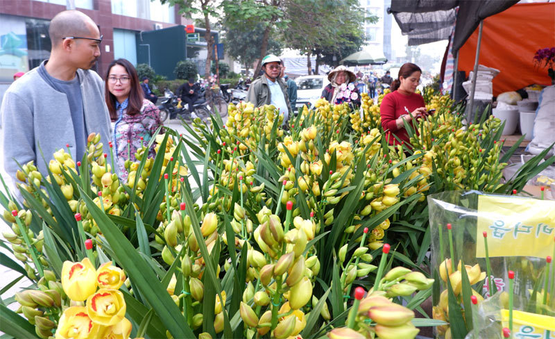 Chợ hoa – sinh vật cảnh Vạn Phúc, nơi hội tụ những mặt hàng chơi Tết - Ảnh 7