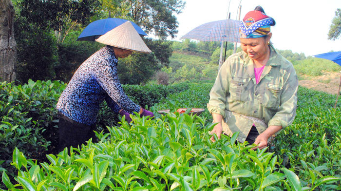 Việt Nam tham gia sâu rộng các FTA: “Chìa khoá” hội nhập toàn cầu - Ảnh 1