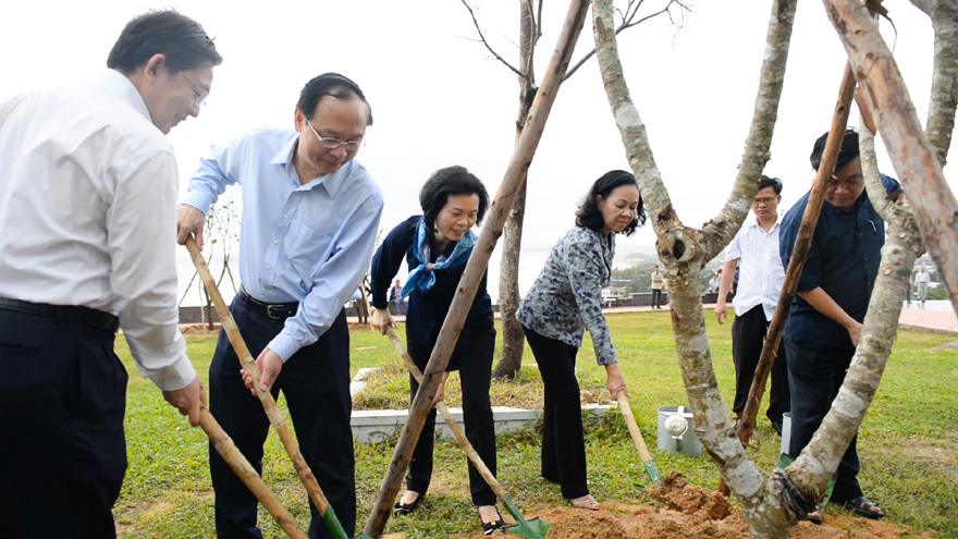 Vinamilk trồng cây xanh góp phần chống biến đổi khí hậu tại Bình Định - Ảnh 1
