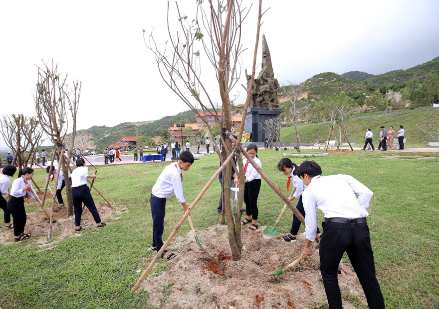 Vinamilk trồng cây xanh góp phần chống biến đổi khí hậu tại Bình Định - Ảnh 9