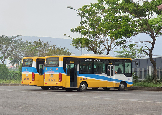 Đà Nẵng tạm dừng xe buýt và các hoạt động liên quan đến tắm biển - Ảnh 2