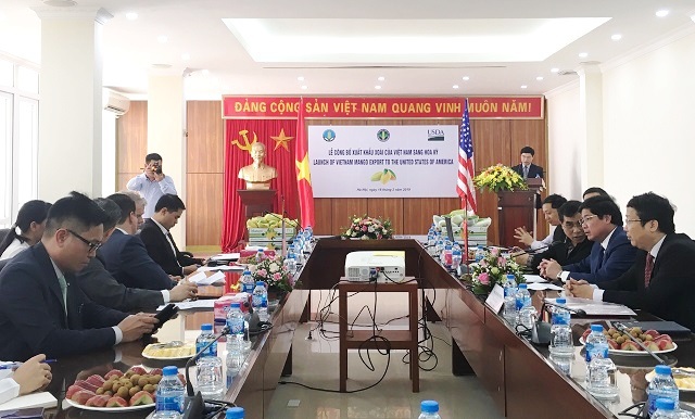 Việt Nam xuất khẩu lô xoài đầu tiên sang Mỹ - Ảnh 1