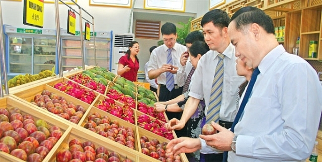 Nông sản ùn ứ, Việt Nam đưa 19 doanh nghiệp sang Hoa Kỳ tìm cơ hội hợp tác thương mại - Ảnh 1