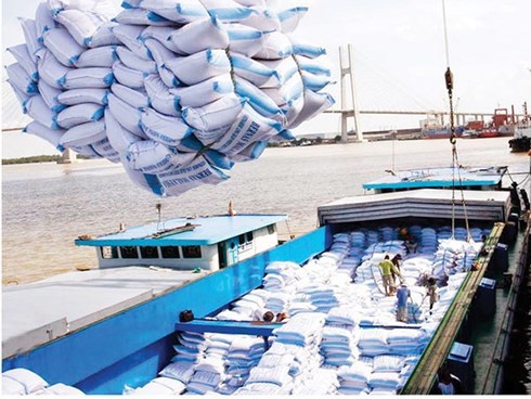 Xuất khẩu gạo 8 tháng năm 2018 tăng cả về khối lượng và kim ngạch - Ảnh 1
