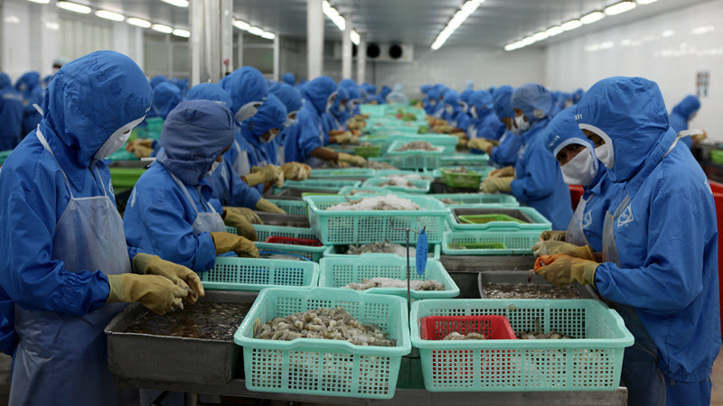 EVFTA sẽ tạo sự đột phá cho xuất khẩu tôm Việt Nam - Ảnh 1