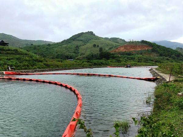 Vụ nước sạch sông Đà nhiễm dầu: Viwasupco phải chịu trách nhiệm kiểm định chất lượng nguồn nước - Ảnh 2