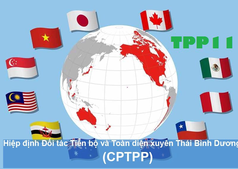 Công bố chính thức nội dung của CPTPP - Ảnh 1