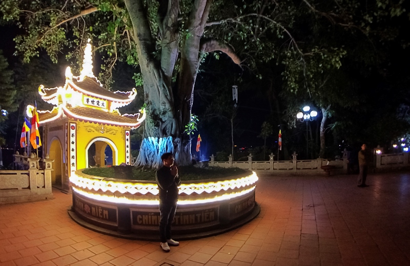 Đầu xuân vãng cảnh chùa đêm ở Hà Nội - Ảnh 11