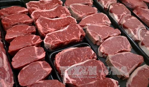 Cục Thú y lý giải về thịt bò Úc, Mỹ nhập khẩu giá siêu rẻ - Ảnh 1