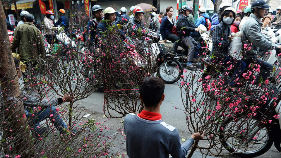 Chợ hoa Quảng Bá, Hà Nội vào top những điểm chơi Tết nổi bật - Ảnh 2