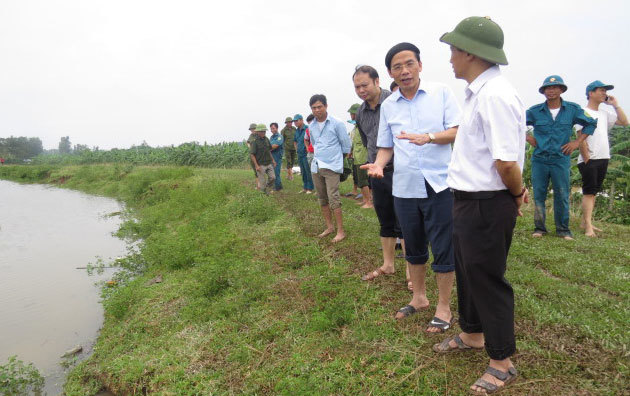 Huyện Phú Xuyên: Mưa lớn gây ảnh hưởng 1.352ha cây trồng - Ảnh 1