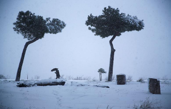 Hình ảnh hiếm hoi băng tuyết bao phủ thủ đô Rome của Italia - Ảnh 5