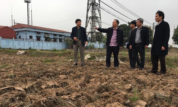 Phó Chủ tịch Nguyễn Văn Sửu kiểm tra sản xuất tại huyện Thanh Oai - Ảnh 1