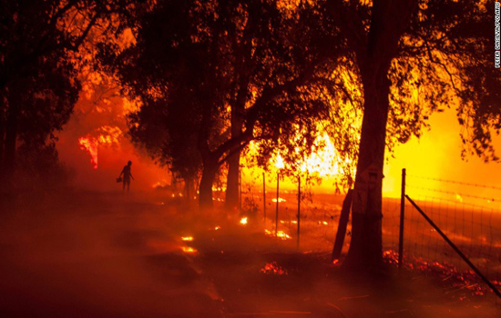 Tổng thống Trump tuyên bố cháy rừng tại California là thảm họa - Ảnh 4