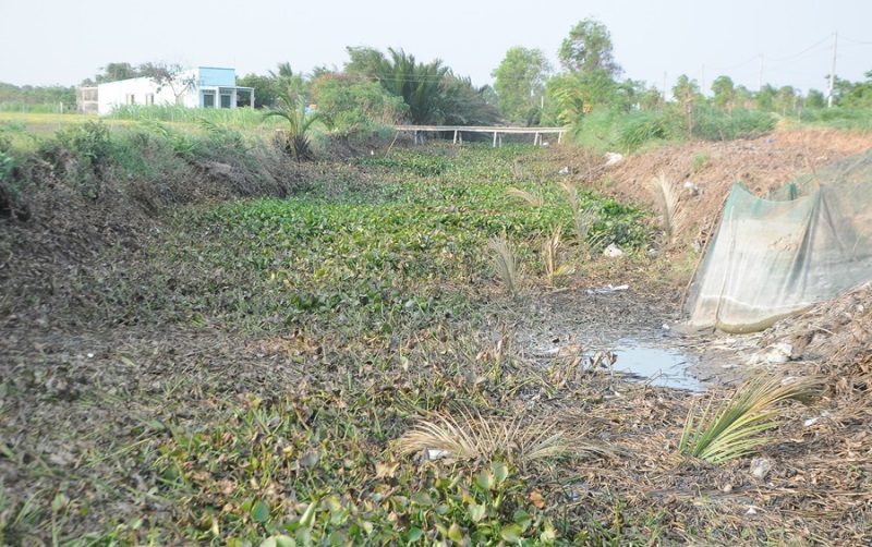 Biến đổi khí hậu gây nhiều thiệt hại cho sản xuất nông nghiệp ở Đồng bằng sông Cửu Long - Ảnh 1