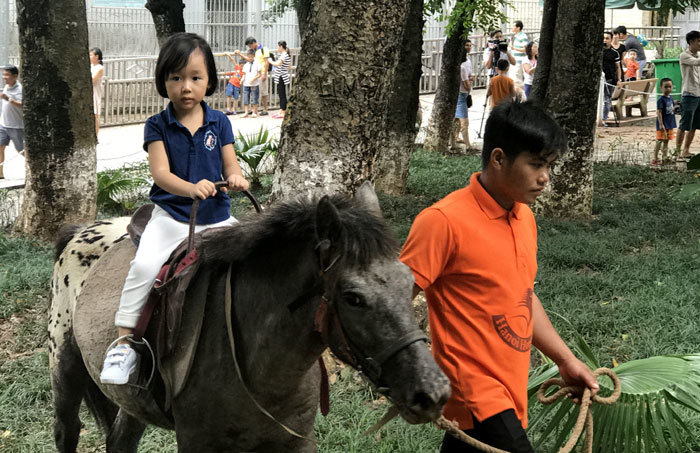 Du khách cưỡi ngựa, vuốt chim công ở Vườn thú Hà Nội - Ảnh 1
