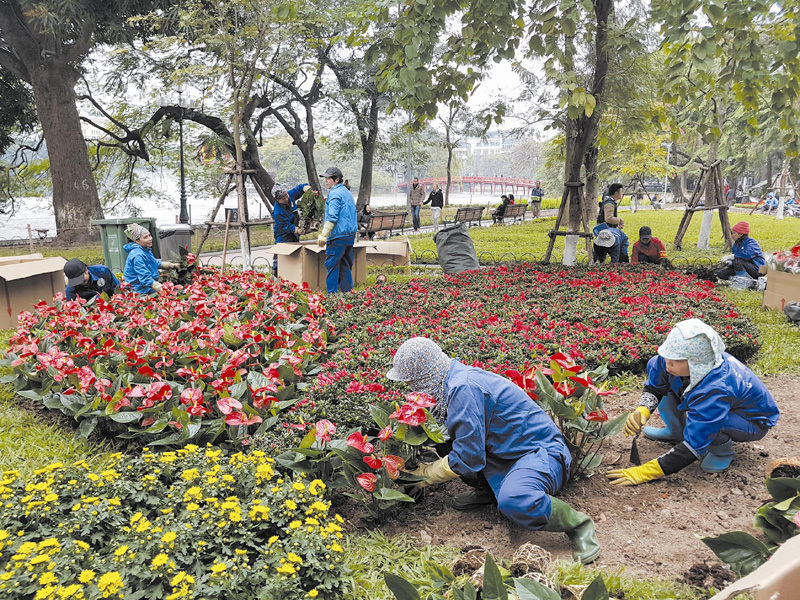 Phố phường sạch, đẹp đón Xuân - Ảnh 1