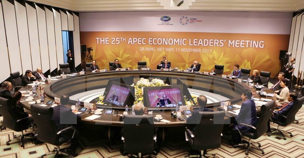 APEC 2017: Nâng tầm hợp tác APEC và vị thế của Việt Nam - Ảnh 1