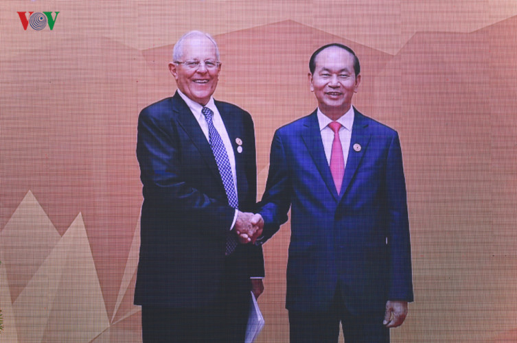Hình ảnh Chủ tịch nước đón các nhà lãnh đạo APEC dự Phiên họp kín thứ nhất - Ảnh 10
