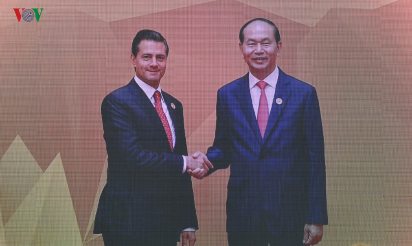 Hình ảnh Chủ tịch nước đón các nhà lãnh đạo APEC dự Phiên họp kín thứ nhất - Ảnh 14