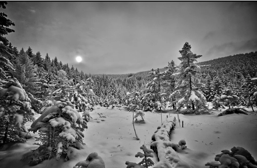 Chiêm ngưỡng nơi có tuyết trắng huyền ảo nhất thế giới - Ảnh 6