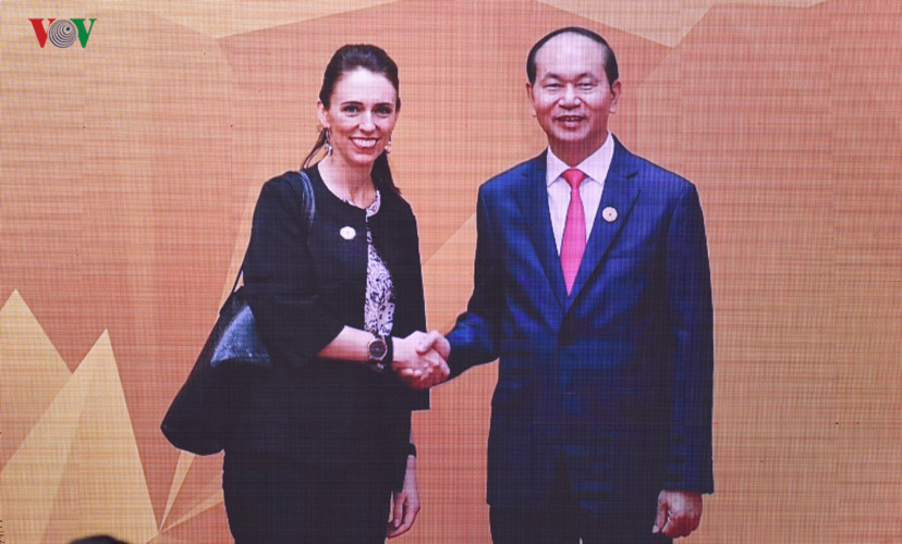 Hình ảnh Chủ tịch nước đón các nhà lãnh đạo APEC dự Phiên họp kín thứ nhất - Ảnh 6