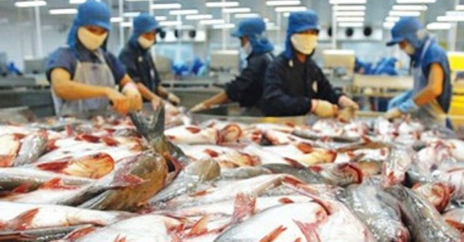 Hoa Kỳ chuẩn bị thanh tra Chương trình kiểm soát cá da trơn Việt Nam - Ảnh 1