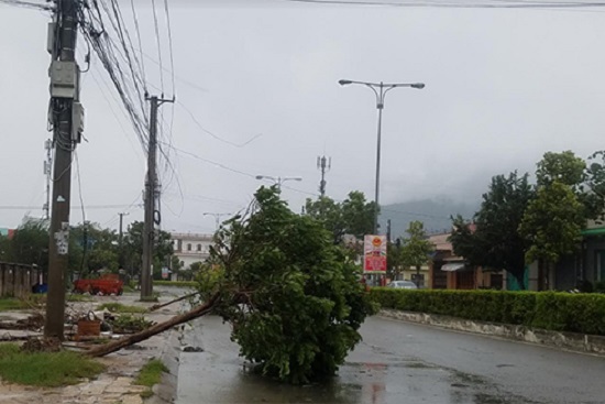 Các thành phố miền Trung ngổn ngang trong bão Damrey - Ảnh 11